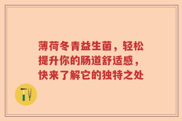 薄荷冬青益生菌，轻松提升你的肠道舒适感，快来了解它的独特之处