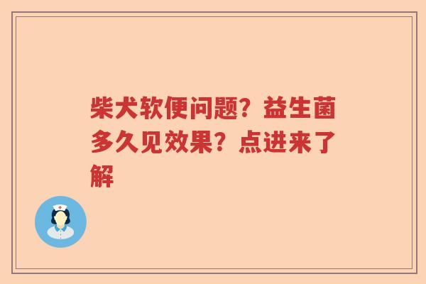 柴犬软便问题？益生菌多久见效果？点进来了解