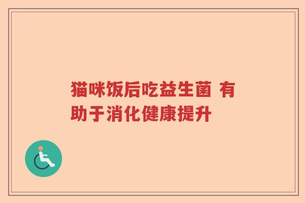 猫咪饭后吃益生菌 有助于消化健康提升