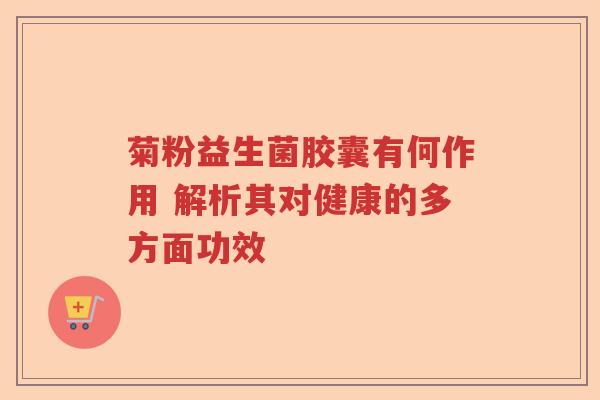 菊粉益生菌胶囊有何作用 解析其对健康的多方面功效