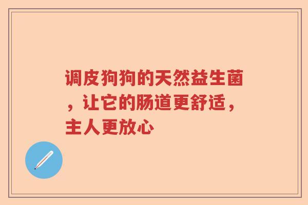 调皮狗狗的天然益生菌，让它的肠道更舒适，主人更放心