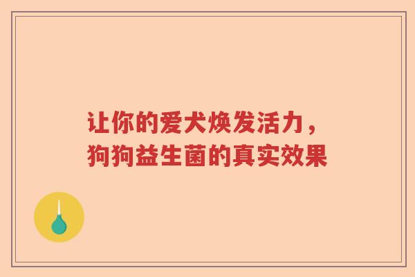 让你的爱犬焕发活力，狗狗益生菌的真实效果