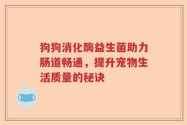 狗狗消化酶益生菌助力肠道畅通，提升宠物生活质量的秘诀