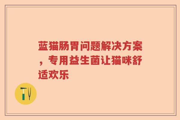 蓝猫肠胃问题解决方案，专用益生菌让猫咪舒适欢乐