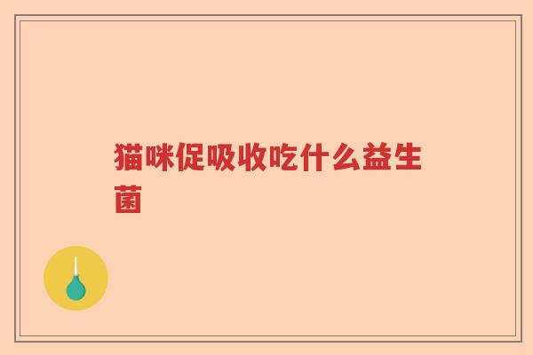 猫咪促吸收吃什么益生菌