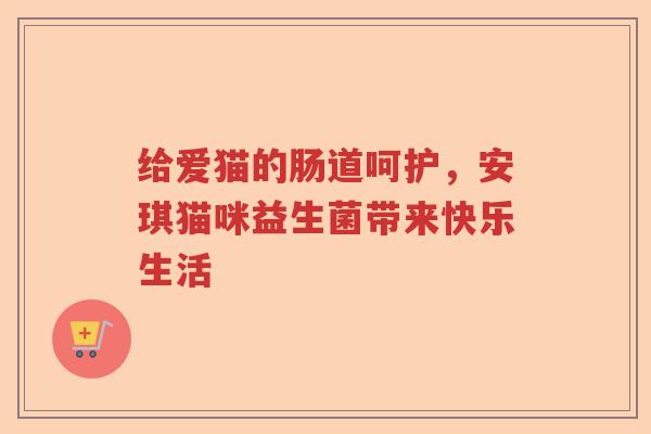 给爱猫的肠道呵护，安琪猫咪益生菌带来快乐生活