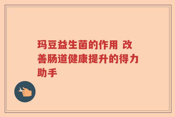 玛豆益生菌的作用 改善肠道健康提升的得力助手