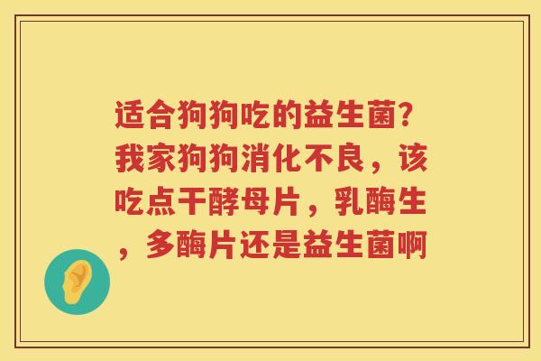 适合狗狗吃的益生菌？我家狗狗消化不良，该吃点干酵母片，乳酶生，多酶片还是益生菌啊