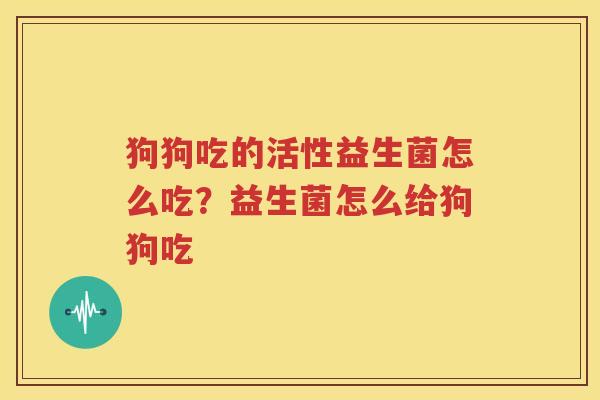 狗狗吃的活性益生菌怎么吃？益生菌怎么给狗狗吃
