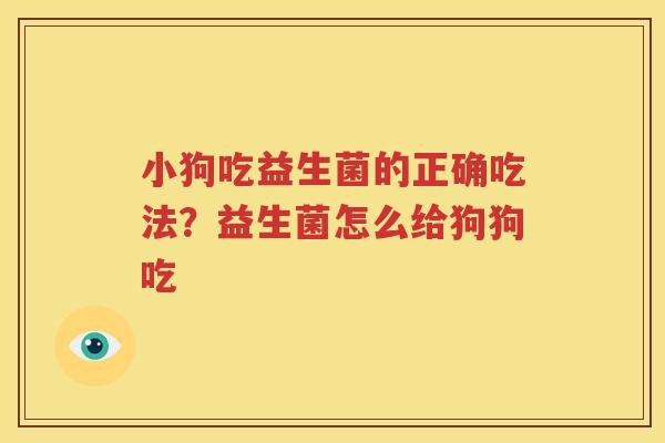 小狗吃益生菌的正确吃法？益生菌怎么给狗狗吃