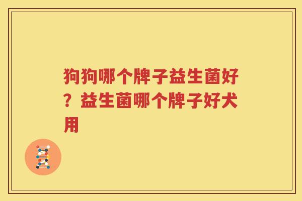 狗狗哪个牌子益生菌好？益生菌哪个牌子好犬用