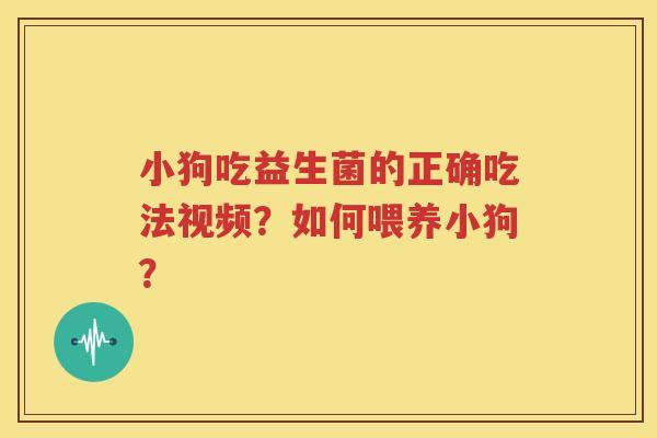 小狗吃益生菌的正确吃法视频？如何喂养小狗？
