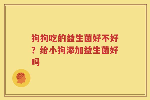 狗狗吃的益生菌好不好？给小狗添加益生菌好吗