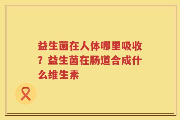 益生菌在人体哪里吸收？益生菌在肠道合成什么维生素
