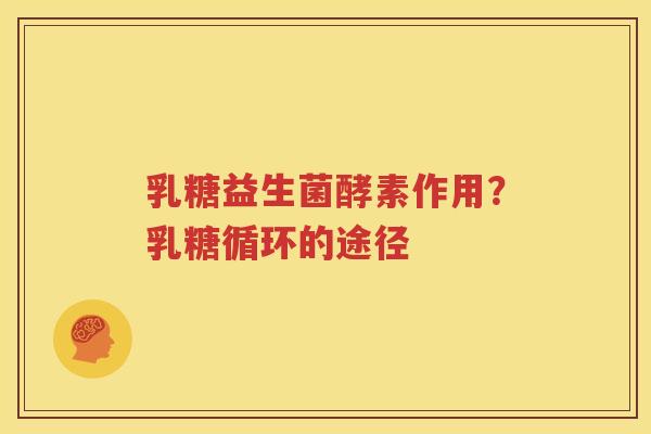 乳糖益生菌酵素作用？乳糖循环的途径