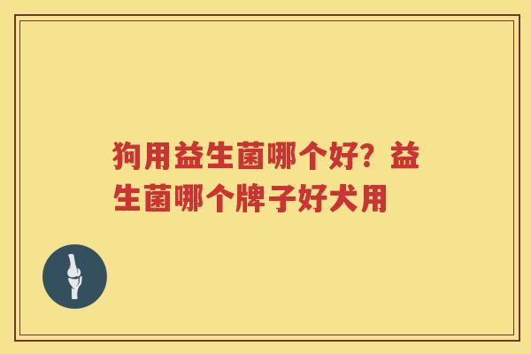 狗用益生菌哪个好？益生菌哪个牌子好犬用