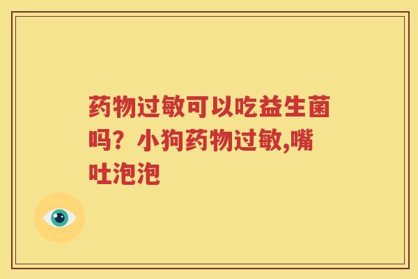 药物过敏可以吃益生菌吗？小狗药物过敏,嘴吐泡泡