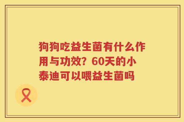 狗狗吃益生菌有什么作用与功效？60天的小泰迪可以喂益生菌吗