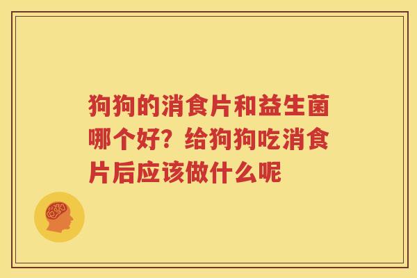 狗狗的消食片和益生菌哪个好？给狗狗吃消食片后应该做什么呢