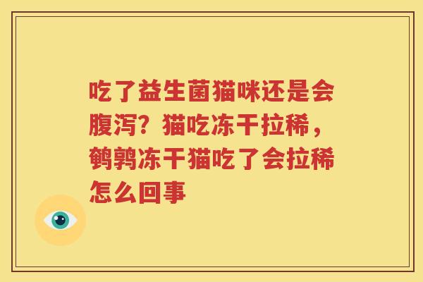 吃了益生菌猫咪还是会腹泻？猫吃冻干拉稀，鹌鹑冻干猫吃了会拉稀怎么回事