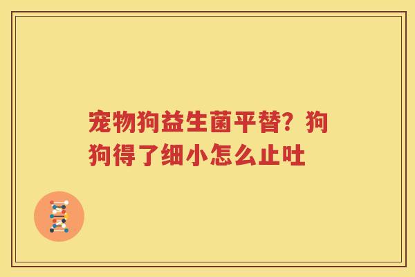 宠物狗益生菌平替？狗狗得了细小怎么止吐