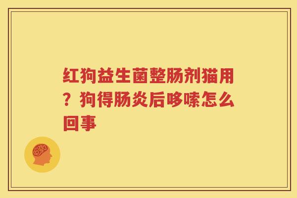 红狗益生菌整肠剂猫用？狗得肠炎后哆嗦怎么回事