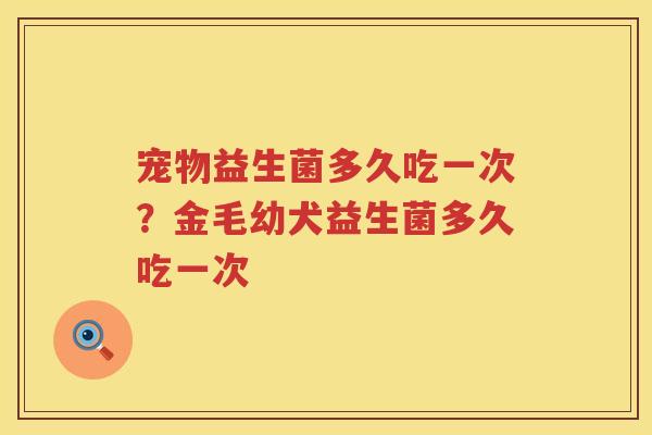 宠物益生菌多久吃一次？金毛幼犬益生菌多久吃一次