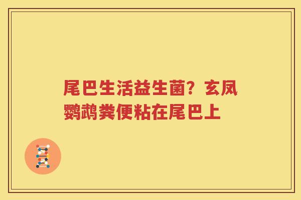 尾巴生活益生菌？玄凤鹦鹉粪便粘在尾巴上