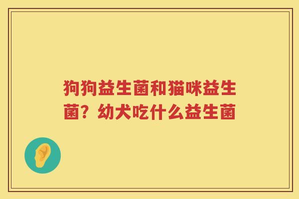 狗狗益生菌和猫咪益生菌？幼犬吃什么益生菌