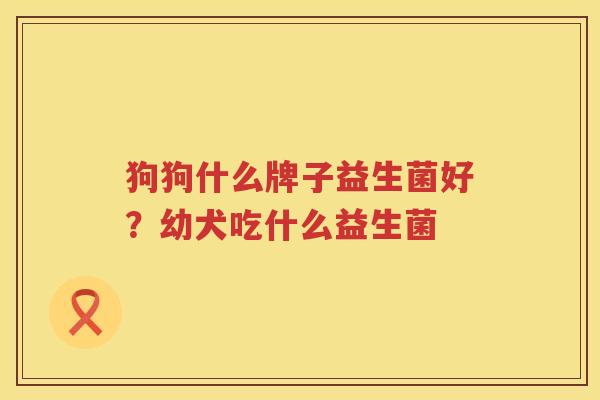 狗狗什么牌子益生菌好？幼犬吃什么益生菌