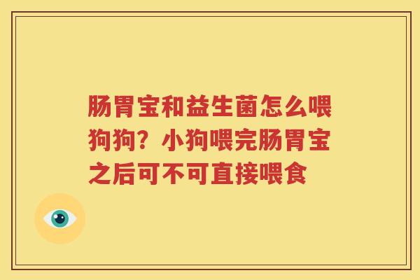 肠胃宝和益生菌怎么喂狗狗？小狗喂完肠胃宝之后可不可直接喂食