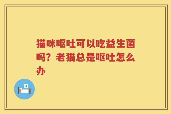 猫咪呕吐可以吃益生菌吗？老猫总是呕吐怎么办
