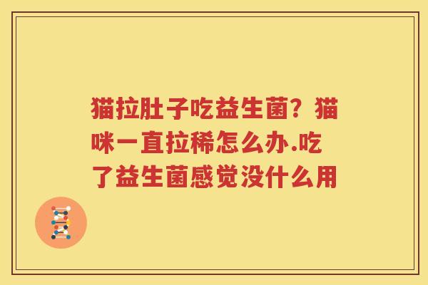 猫拉肚子吃益生菌？猫咪一直拉稀怎么办.吃了益生菌感觉没什么用