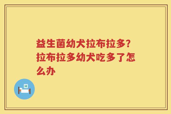 益生菌幼犬拉布拉多？拉布拉多幼犬吃多了怎么办