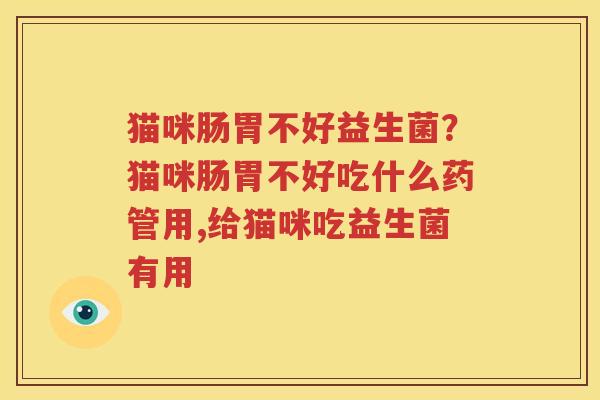 猫咪肠胃不好益生菌？猫咪肠胃不好吃什么药管用,给猫咪吃益生菌有用