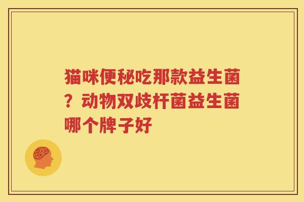猫咪便秘吃那款益生菌？动物双歧杆菌益生菌哪个牌子好