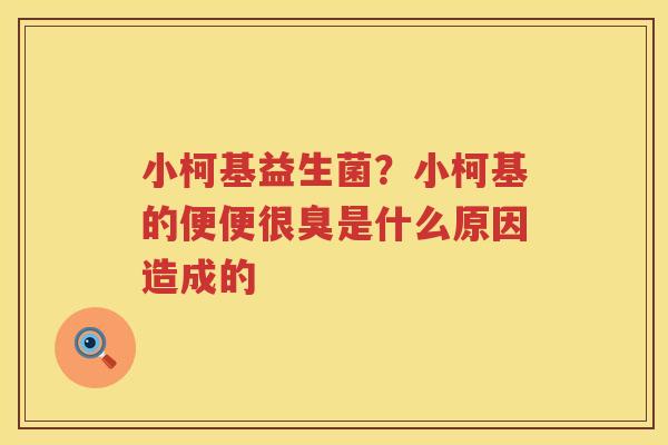 小柯基益生菌？小柯基的便便很臭是什么原因造成的