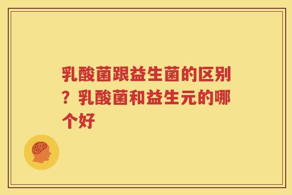 乳酸菌跟益生菌的区别？乳酸菌和益生元的哪个好