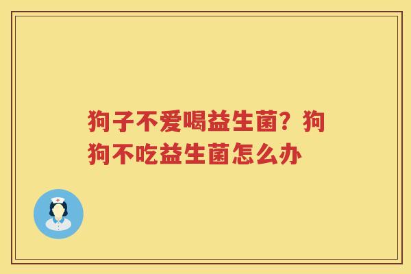 狗子不爱喝益生菌？狗狗不吃益生菌怎么办
