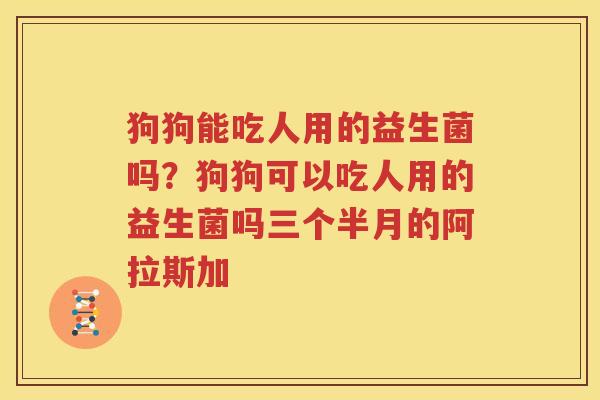 狗狗能吃人用的益生菌吗？狗狗可以吃人用的益生菌吗三个半月的阿拉斯加