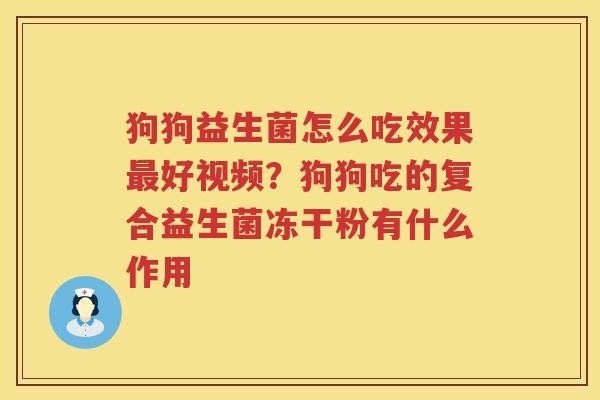 狗狗益生菌怎么吃效果最好视频？狗狗吃的复合益生菌冻干粉有什么作用