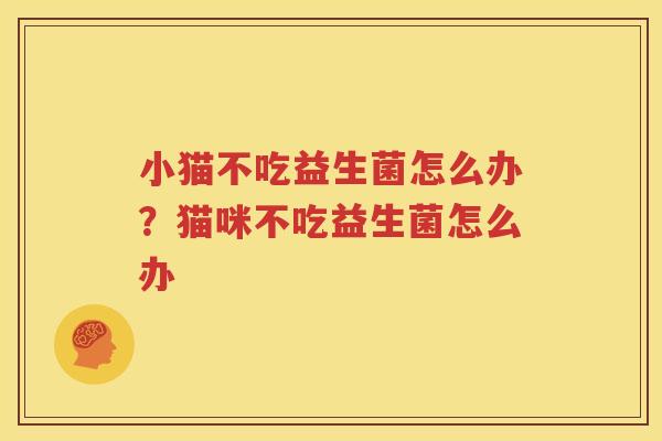 小猫不吃益生菌怎么办？猫咪不吃益生菌怎么办