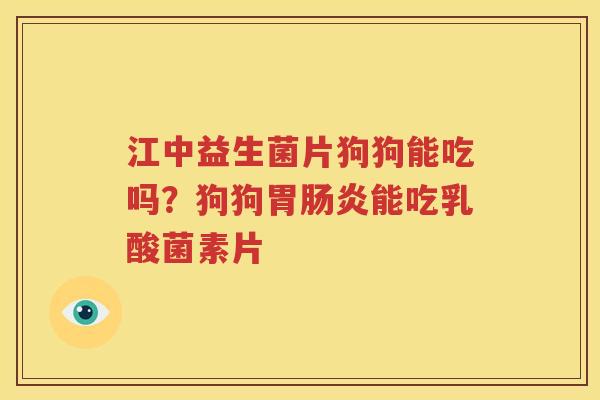 江中益生菌片狗狗能吃吗？狗狗胃肠炎能吃乳酸菌素片
