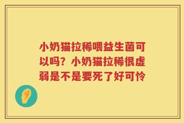小奶猫拉稀喂益生菌可以吗？小奶猫拉稀很虚弱是不是要死了好可怜