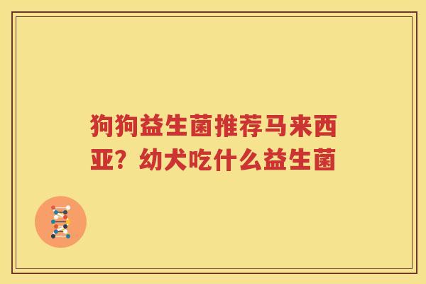 狗狗益生菌推荐马来西亚？幼犬吃什么益生菌