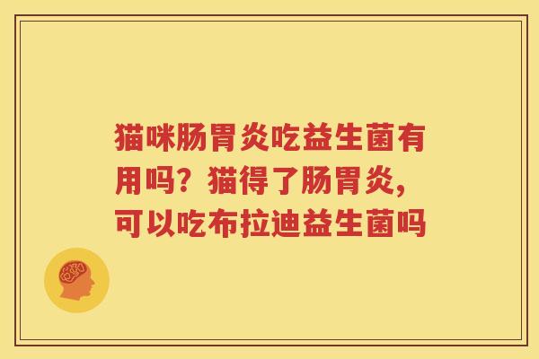 猫咪肠胃炎吃益生菌有用吗？猫得了肠胃炎,可以吃布拉迪益生菌吗