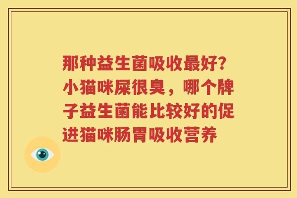 那种益生菌吸收最好？小猫咪屎很臭，哪个牌子益生菌能比较好的促进猫咪肠胃吸收营养