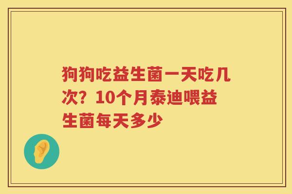 狗狗吃益生菌一天吃几次？10个月泰迪喂益生菌每天多少