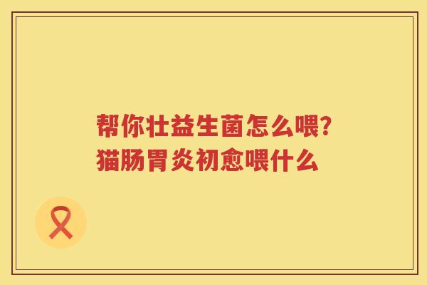 帮你壮益生菌怎么喂？猫肠胃炎初愈喂什么