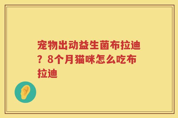 宠物出动益生菌布拉迪？8个月猫咪怎么吃布拉迪